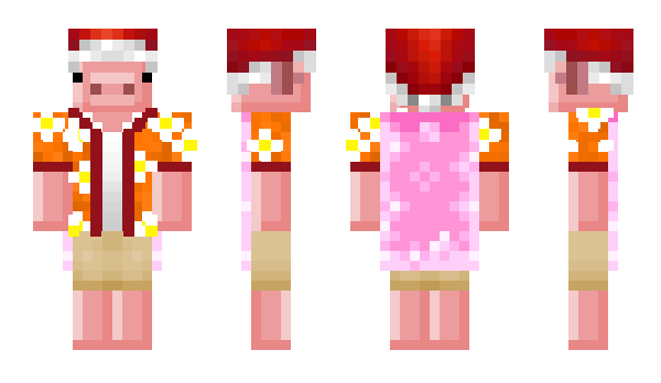 Minecraft skin Antopvp