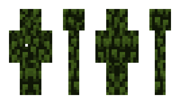 Minecraft skin Incks