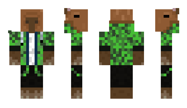 Minecraft skin Pixon