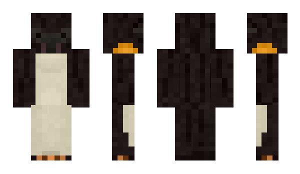 Minecraft skin Wooks