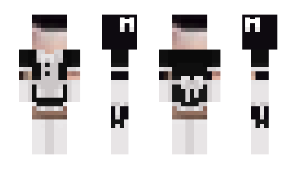 Minecraft skin 2soccerballs
