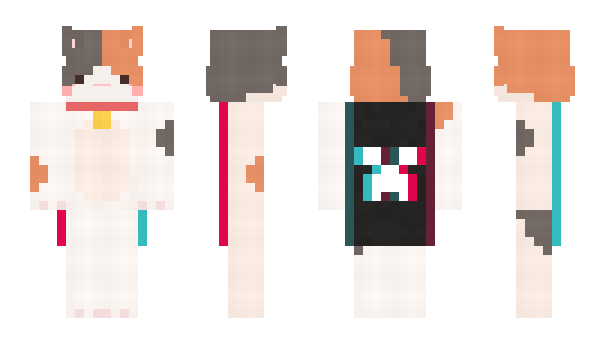 Minecraft skin SC100