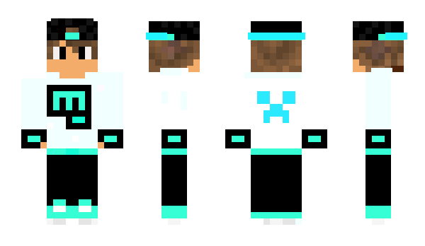 Minecraft skin roymor