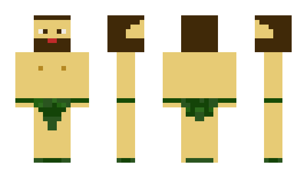 Minecraft skin dgidgi