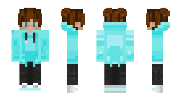 Minecraft skin NeTsub