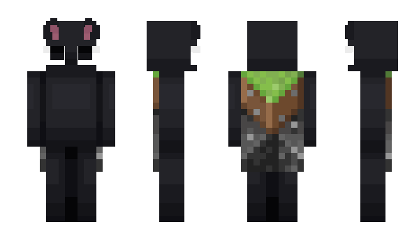Minecraft skin MintyMilo