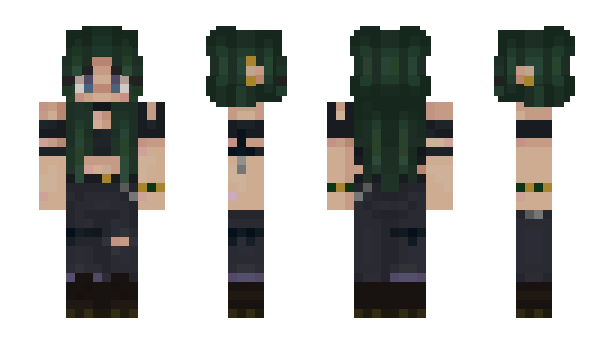 Minecraft skin CrownBA