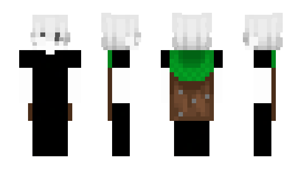 Minecraft скин по нику tszs