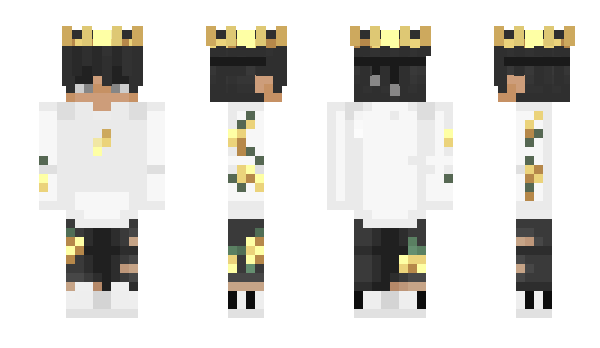 Minecraft skin oldTRR