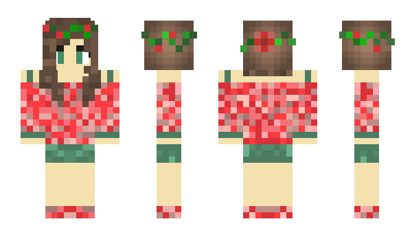 Minecraft skin meril