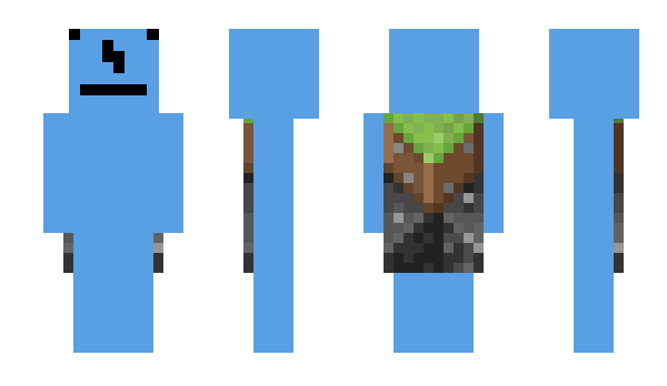 Minecraft skin niccx