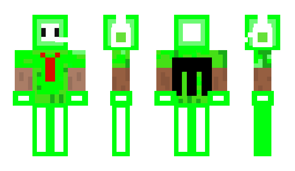 Minecraft skin paess