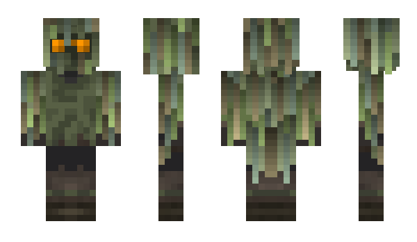 Minecraft skin Acrower