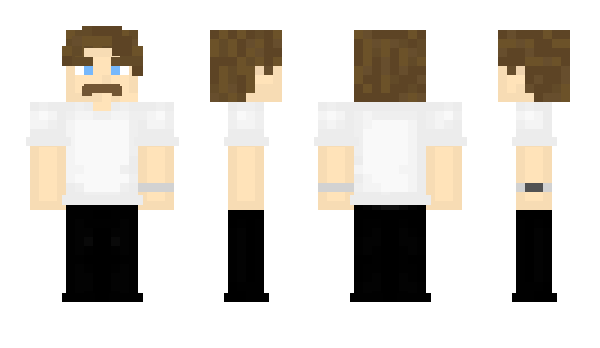 Minecraft skin Seinf