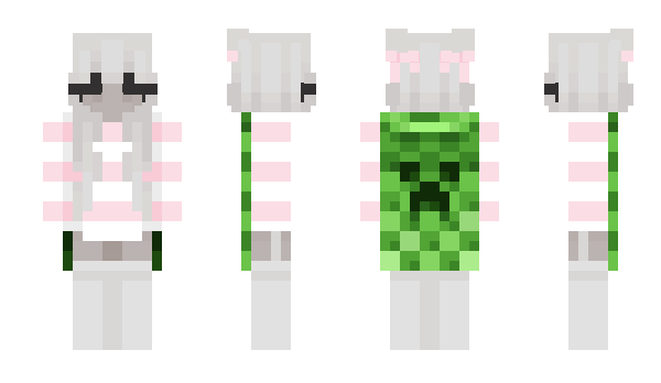 Minecraft skin douglastoys