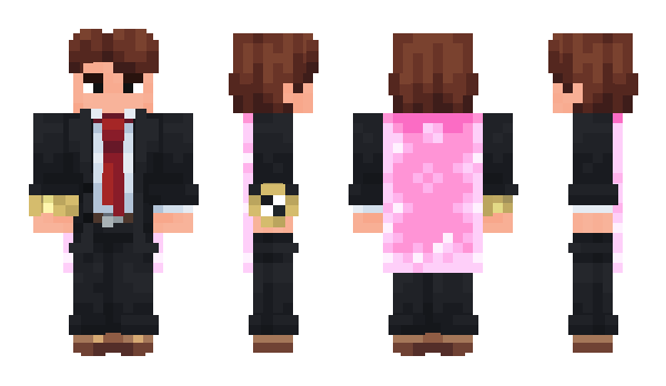 Minecraft skin finehasnostylist