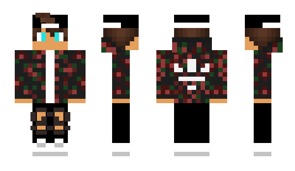 Minecraft skin Xwp