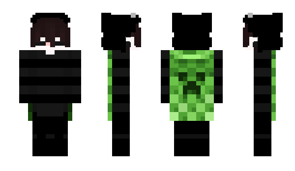 Minecraft skin airthrow