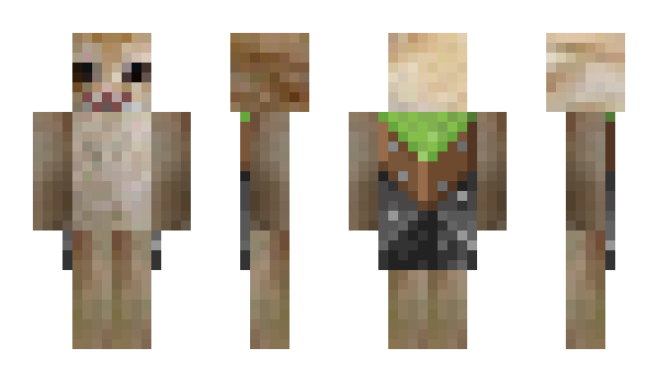 Minecraft skin Zetaga
