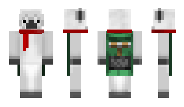 Minecraft skin sh00str