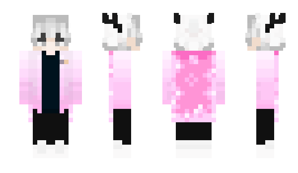 Minecraft skin idom