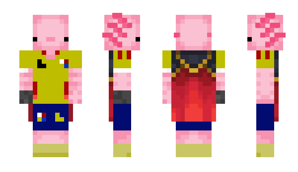 Minecraft skin _NayGigger