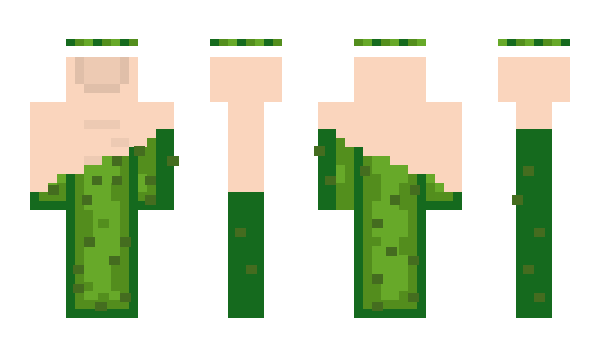 Minecraft скин по нику USAPickle