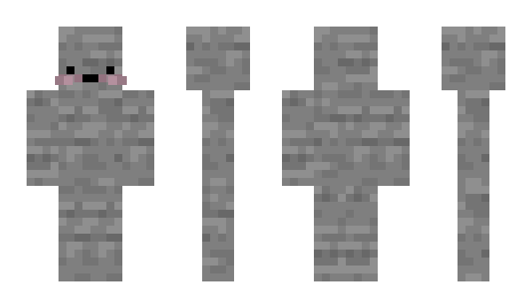 Minecraft skin bromber