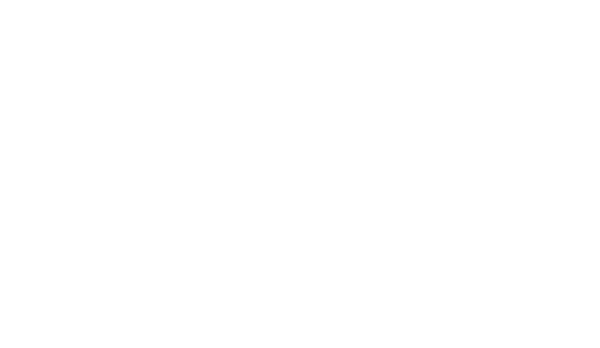 Minecraft skin ORICO