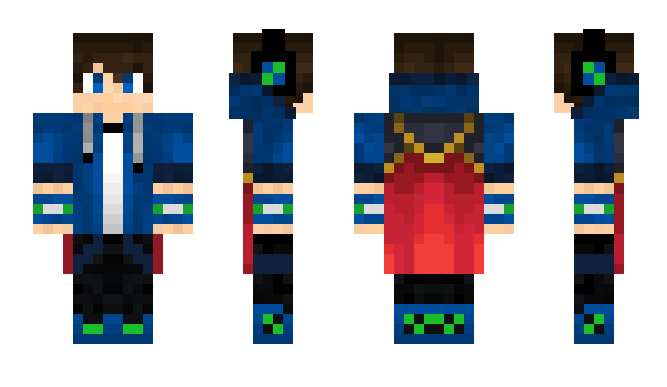 Minecraft skin usaed