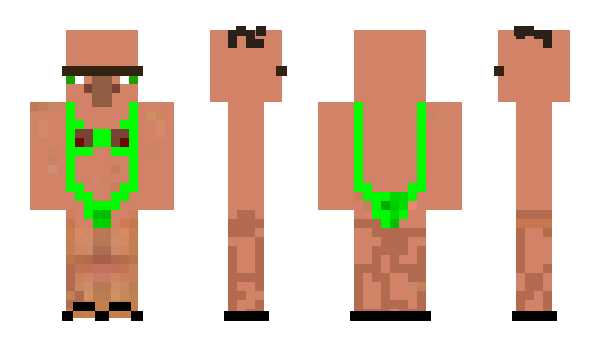 Minecraft скин по нику hplaserjetp1102