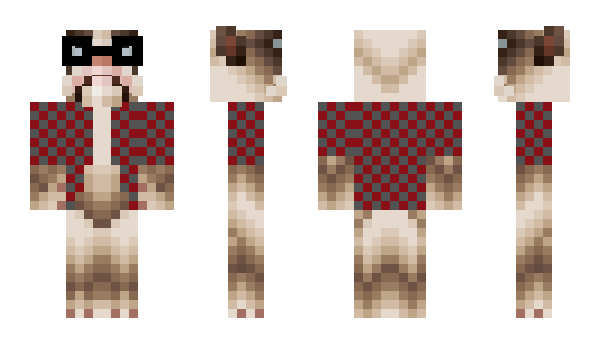 Minecraft skin Esdraide