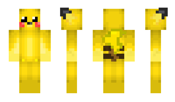 Minecraft skin PokemonSword