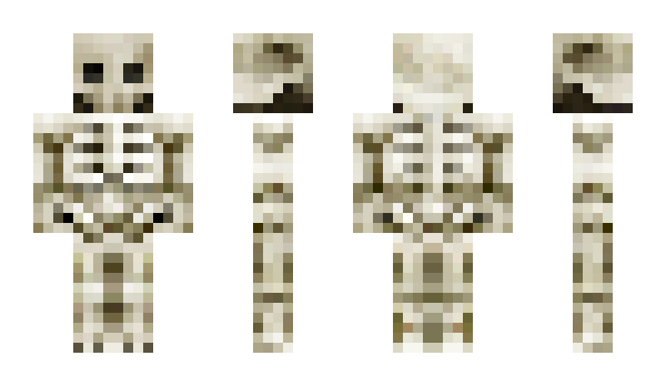 Minecraft skin Dry_Bones