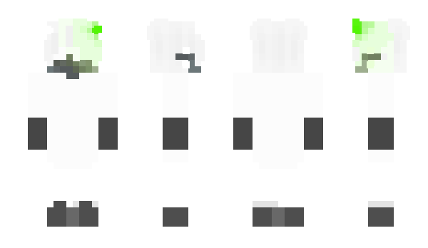 Minecraft skin DannyDerWendige