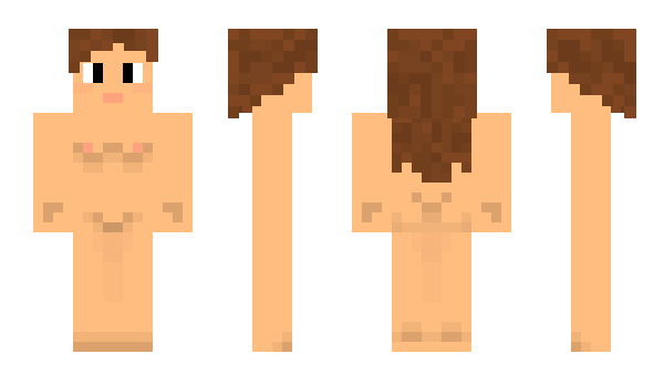 Minecraft skin Modix
