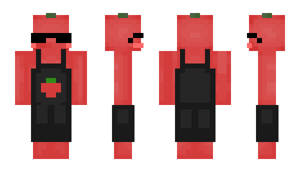 Minecraft skin exv_