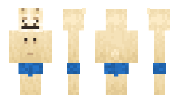 Minecraft skin cyan3362
