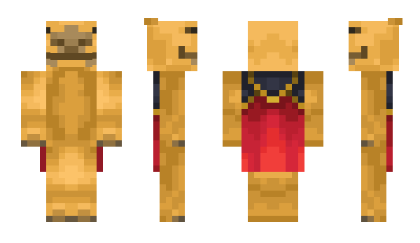 Minecraft skin CamelClient