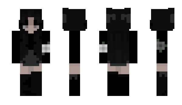 Minecraft skin KGDX