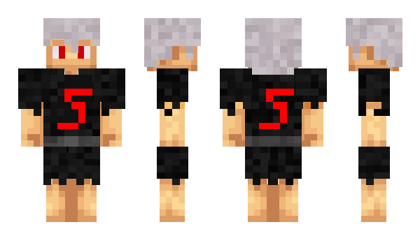 Minecraft skin BaaRai