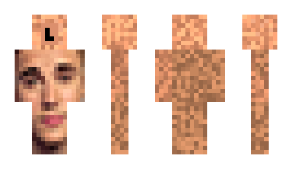 Minecraft skin 4loop