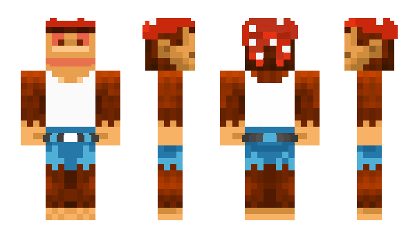 Minecraft skin chcooper