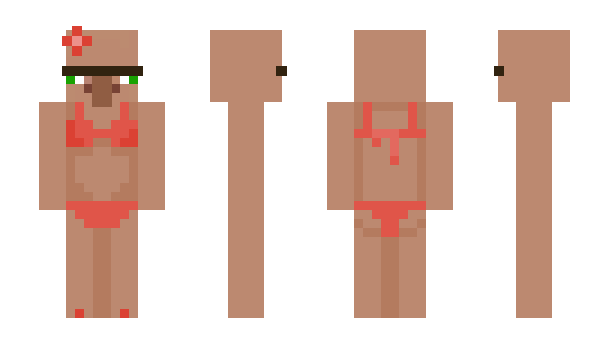 Minecraft skin Eidjiks