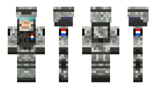 Minecraft skin RcPoint