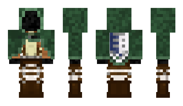 Minecraft skin borded