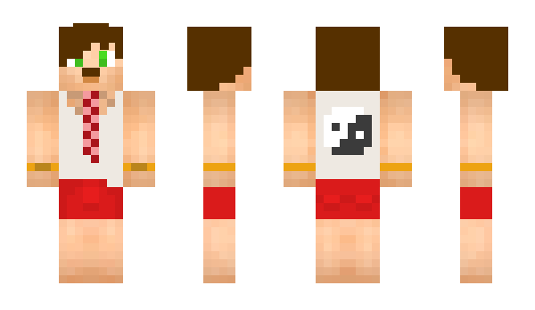 Minecraft skin ZaaksK