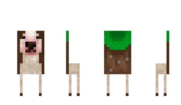 Minecraft скин по нику Frog_Wizardry