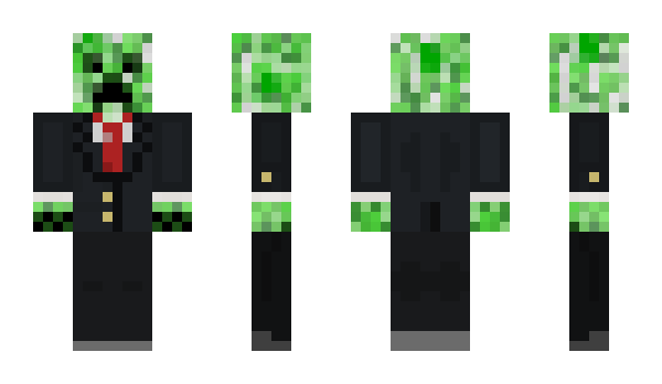 Minecraft skin 2dfa