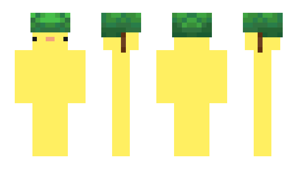 Minecraft skin s6va